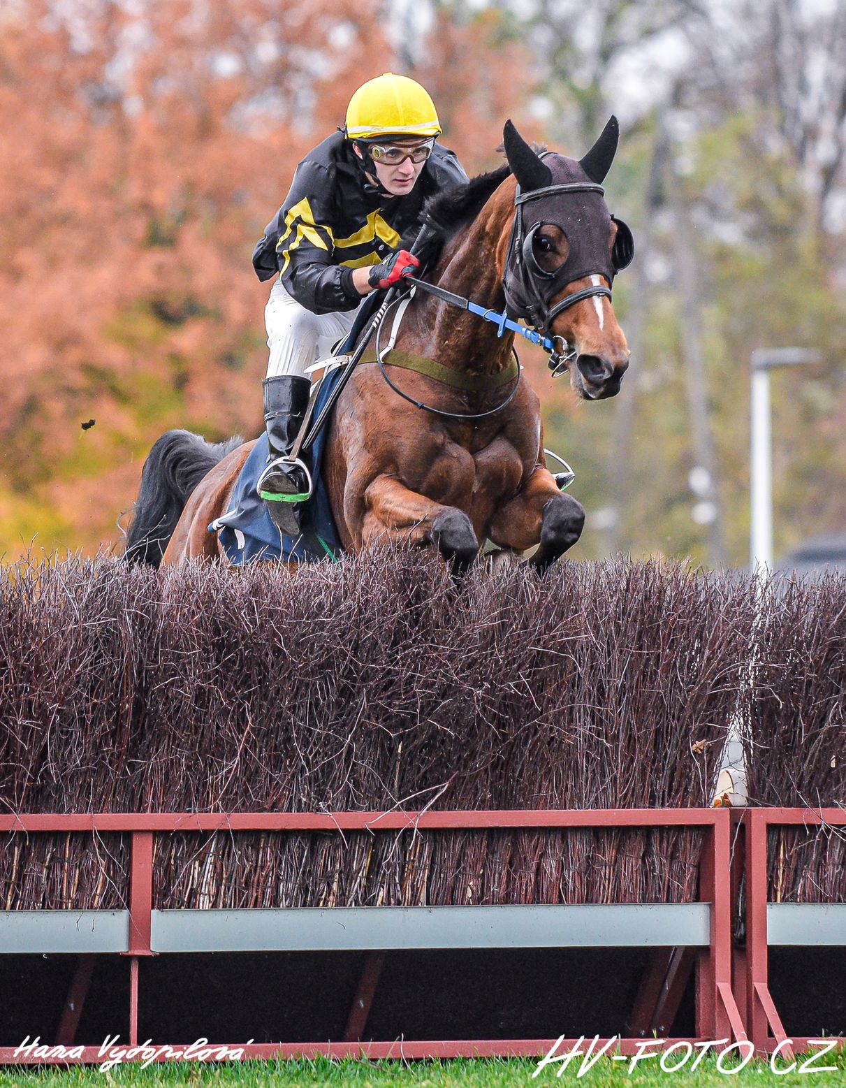 DSC_5796 kopie.jpg